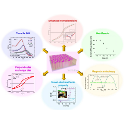 Overview of some of the wide-ranging, simply tuned, and enhanced properties achieved using vertically aligned nanocomposite (VAN) films