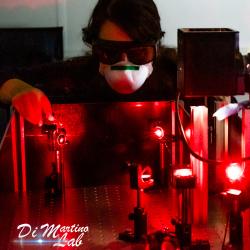 Aligning Lasers in the Di Martino Lab
