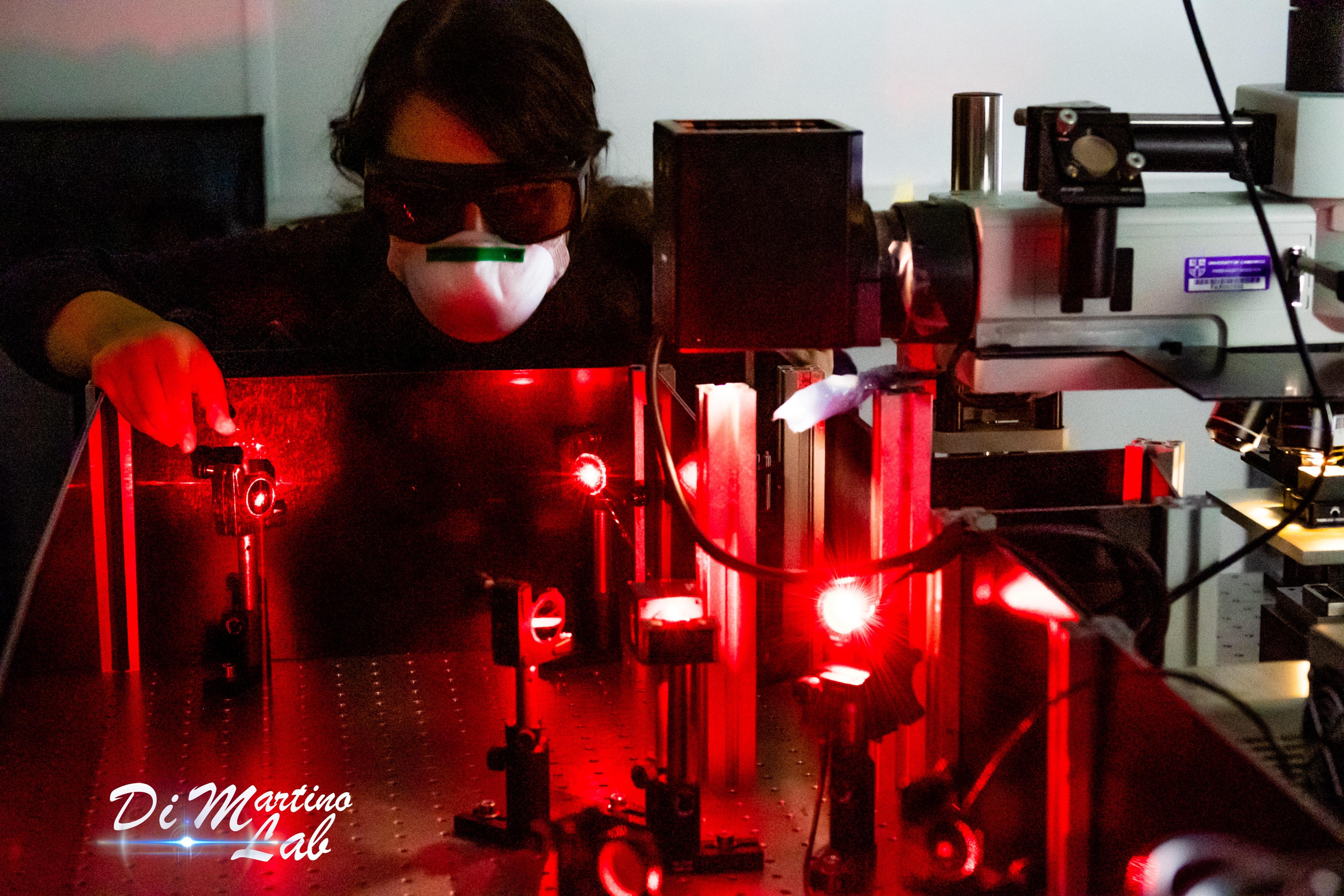Aligning Lasers in the Di Martino Lab